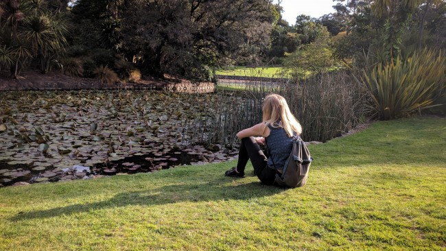 IMG_20181008_174054-01