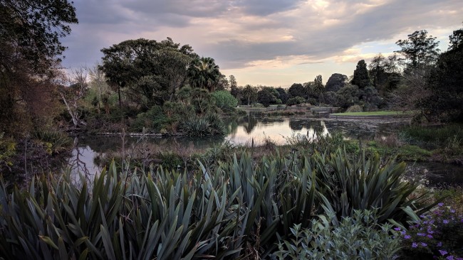 IMG_20181008_183500-01