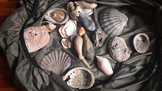 IMG_20181016_102916-01-01