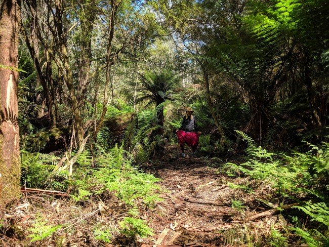 IMG_20181024_111047-01