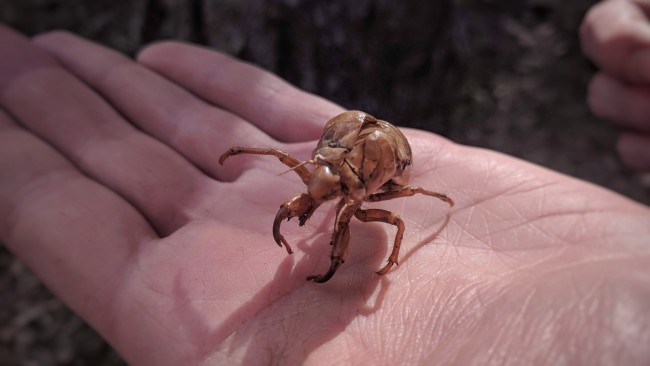 IMG_20181025_155610-01-01