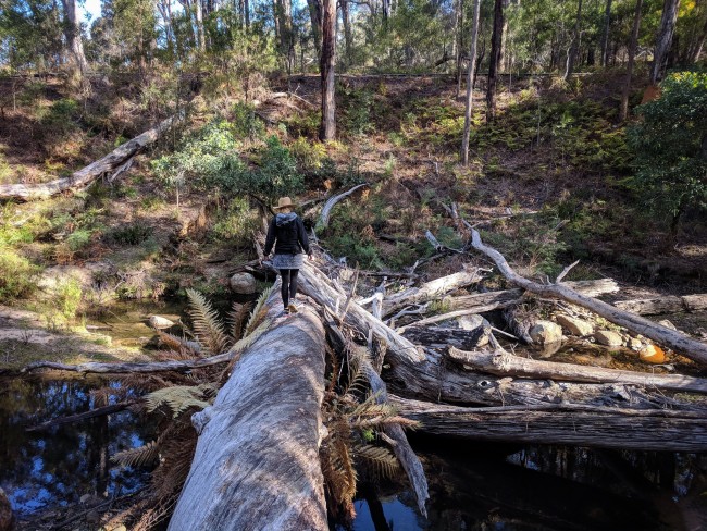 IMG_20181028_170153-01