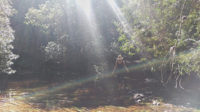 IMG_20181030_150329-01