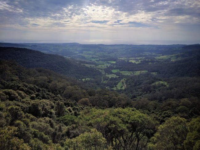 IMG_20181102_091911-01